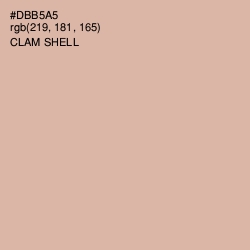 #DBB5A5 - Clam Shell Color Image